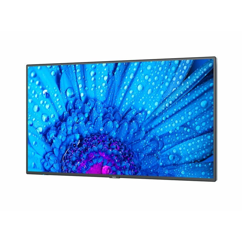 98" SHARP/NEC M981 NEC Sharp 4K