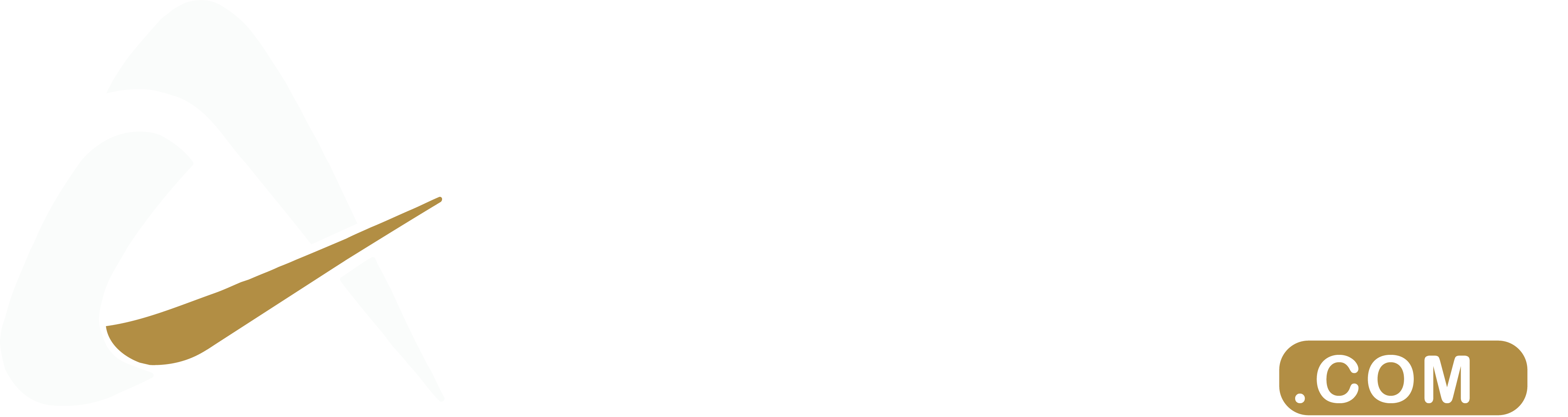 Background-image