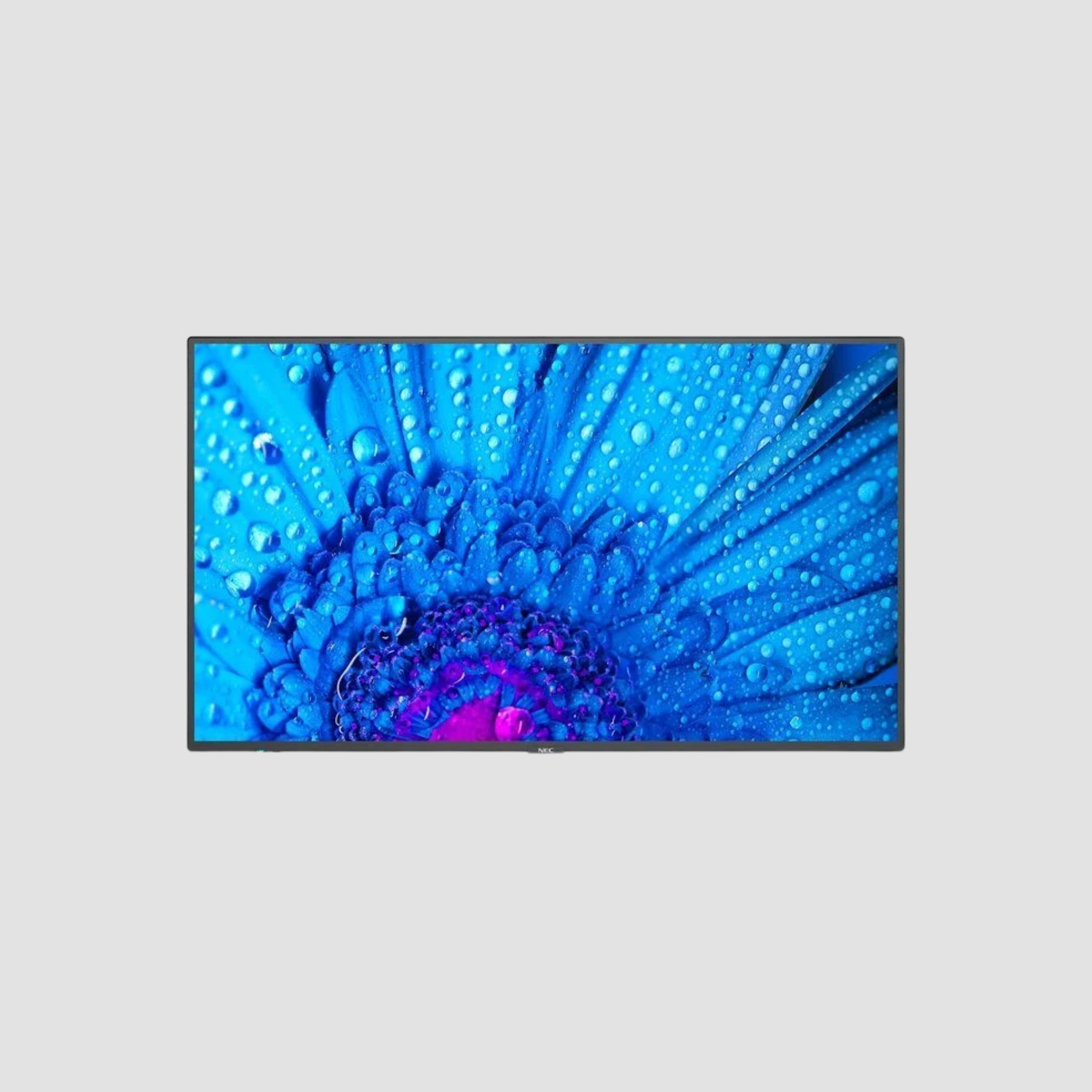 98" SHARP/NEC M981 NEC Sharp 4K