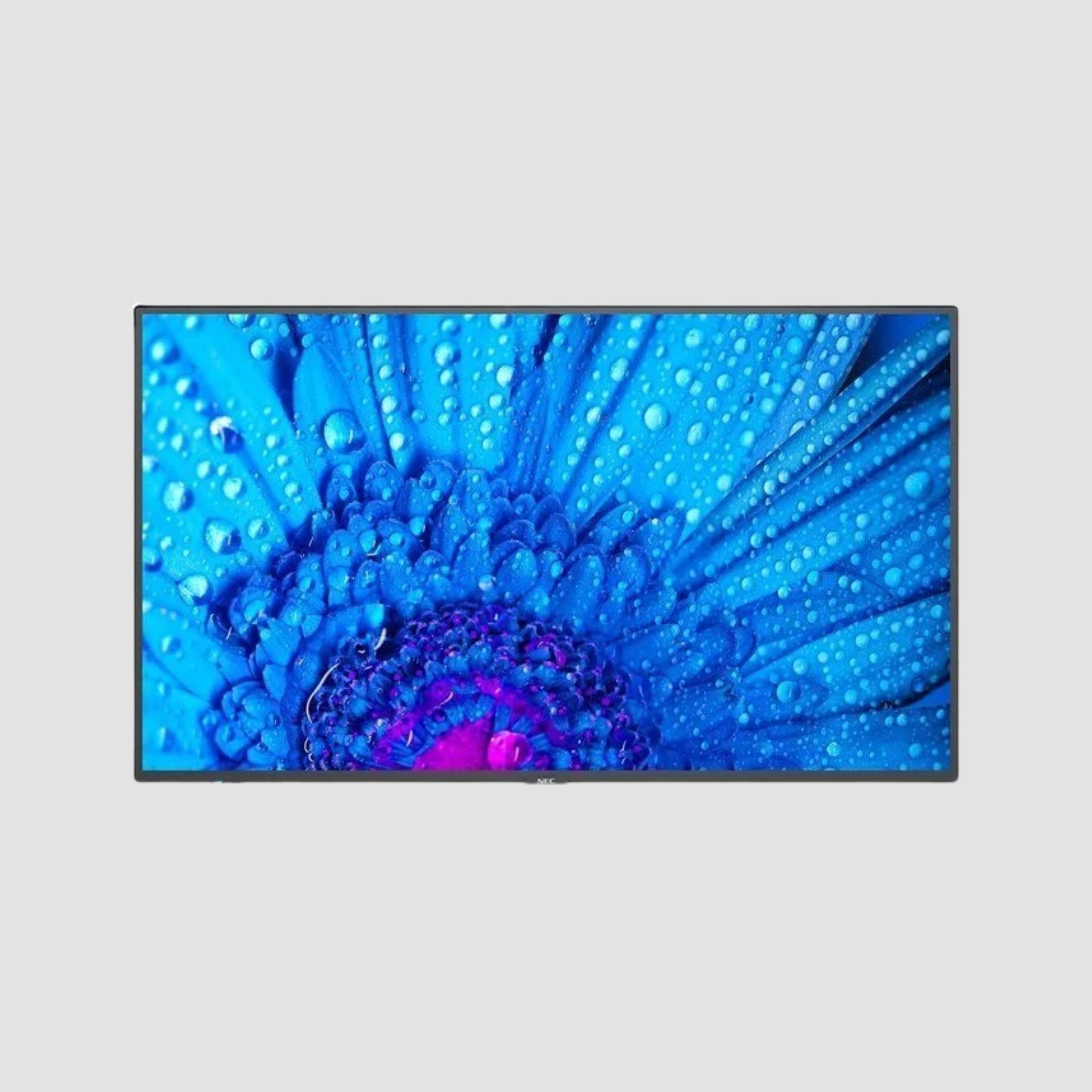 55" SHARP/NEC M551 NEC Sharp 4K