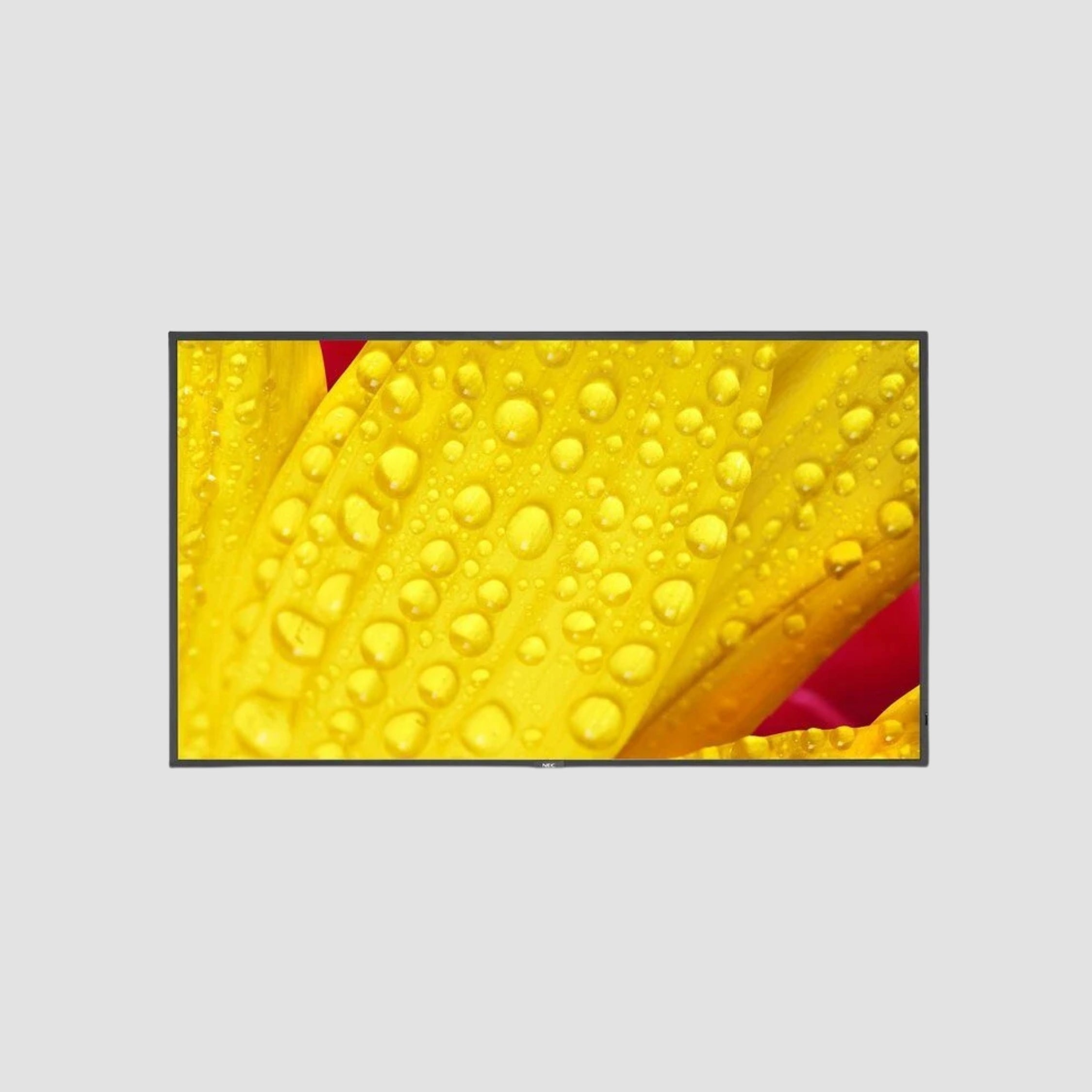 50" SHARP/NEC M501-2 NEC MultiSync 4K