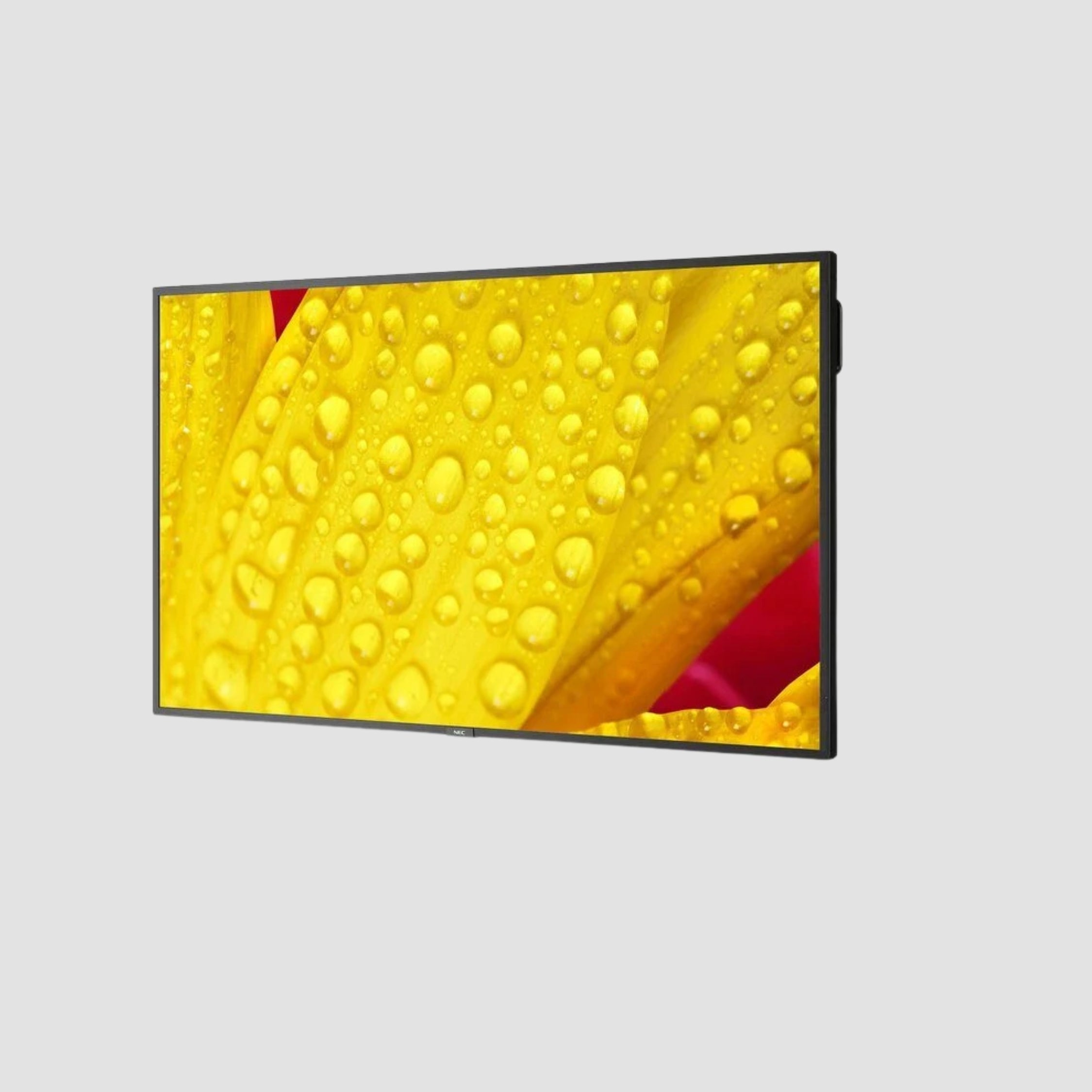 50" SHARP/NEC M501-2 NEC MultiSync 4K